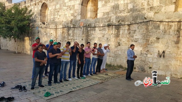 الشرطة تفشل في عرقلة قوافل الأقصى في ذكرى هبة القدس والاقصى وجمعية الاقصى والحركة الاسلامية تنظمان أمسية خاصة في المسجد الاقصى